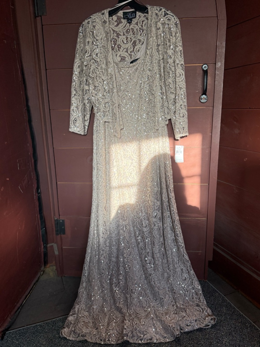 Alex Evenings Beaded Lace Dress in Buff